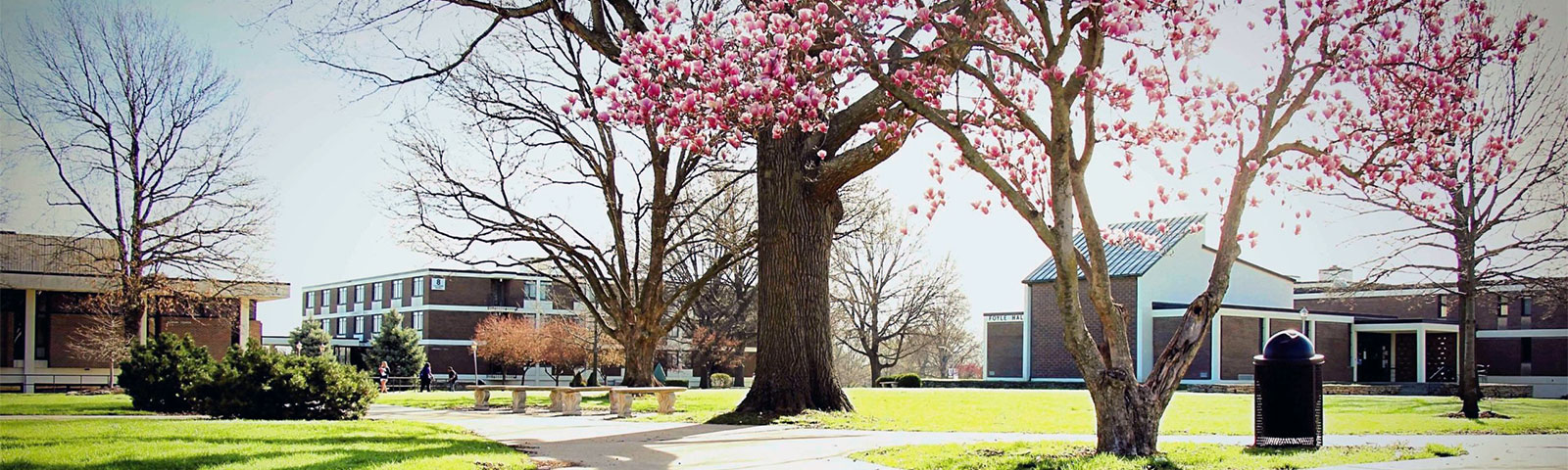 Academic Calendar at Avila University Online